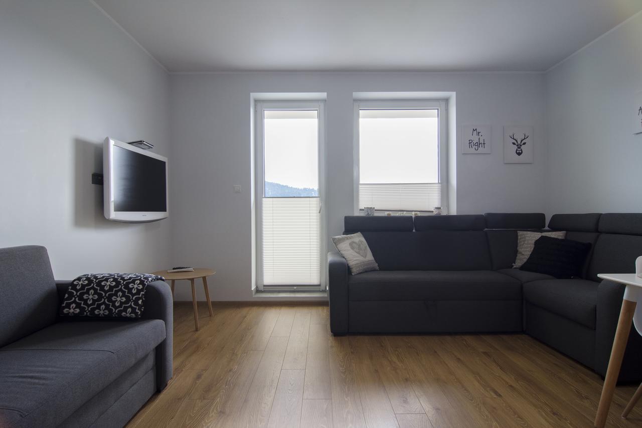 Apartamenty Sun & Snow Kamienna Wisła Kültér fotó